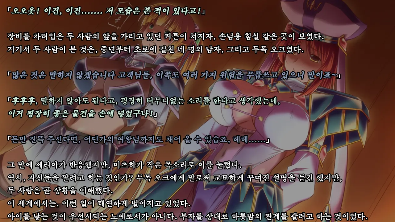 Ryoujikku Fantasy Kikaku Tsuzukete Mimasuta | 능욕 판타지 기획 계속해봤습니다